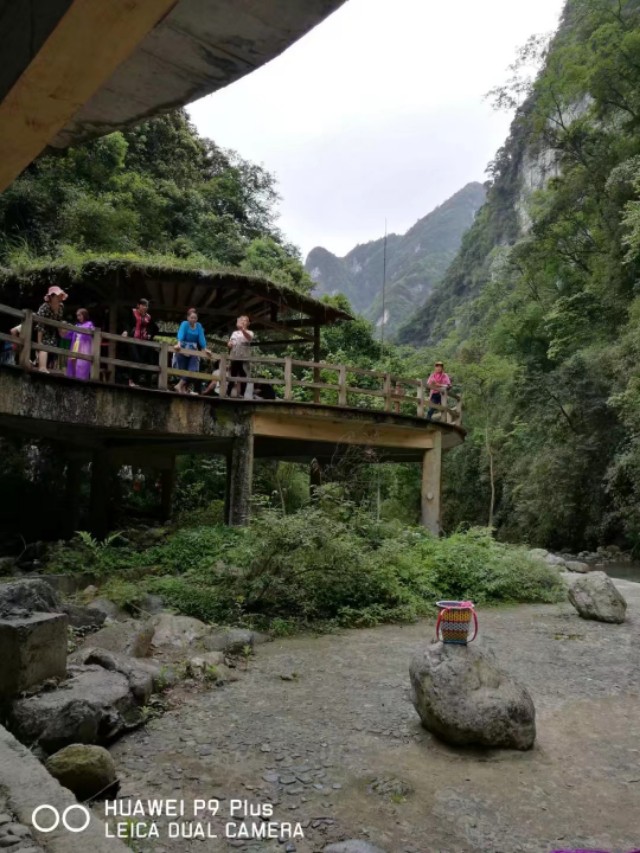 重庆黑山谷避暑适合吗,重庆避暑7天黑山谷