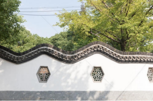 围墙为什么会出现黑色物体,围墙上的白色东西是什么