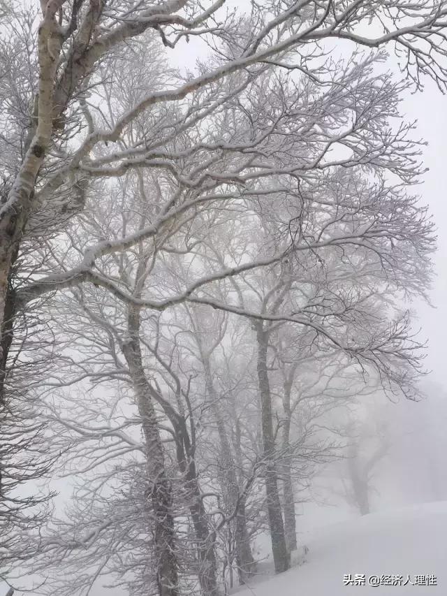 一位旅日游客,4天时间,万字长文,记录思考日本社会的崛起背后