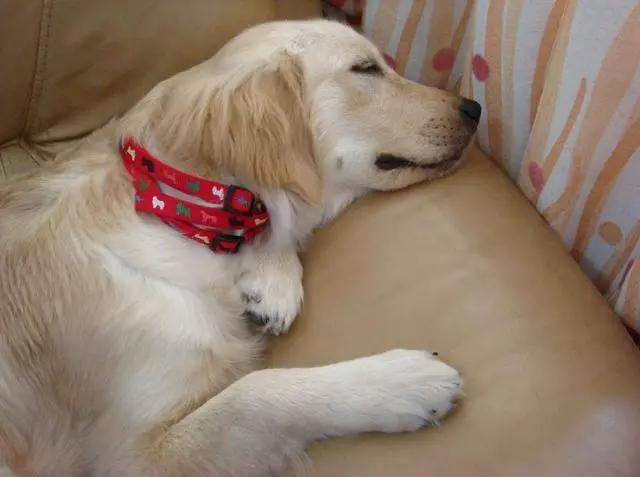 这五种情况下不能洗澡,这6种情况不建议立刻洗澡