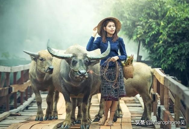 男凹女凸不孤就寡什么意思,俗语男凹女凸不寡就孤有何讲究