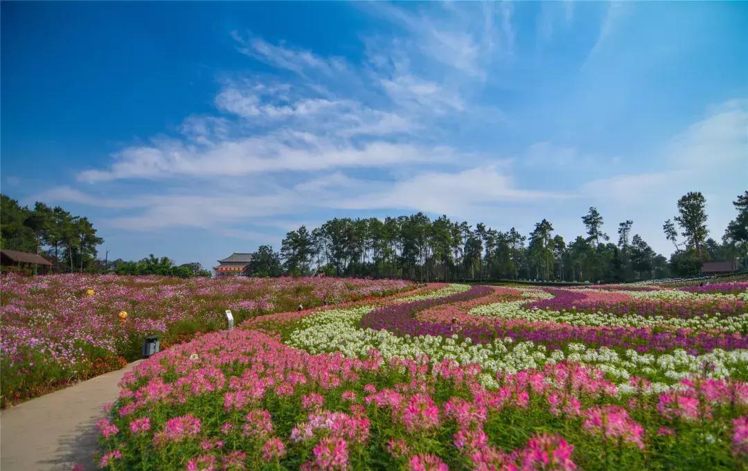 中秋优惠团购景区,团购石象湖门票