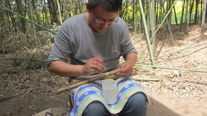 如何辨别蜂王浆的真假,什么样的蜂王浆最好怎么鉴别
