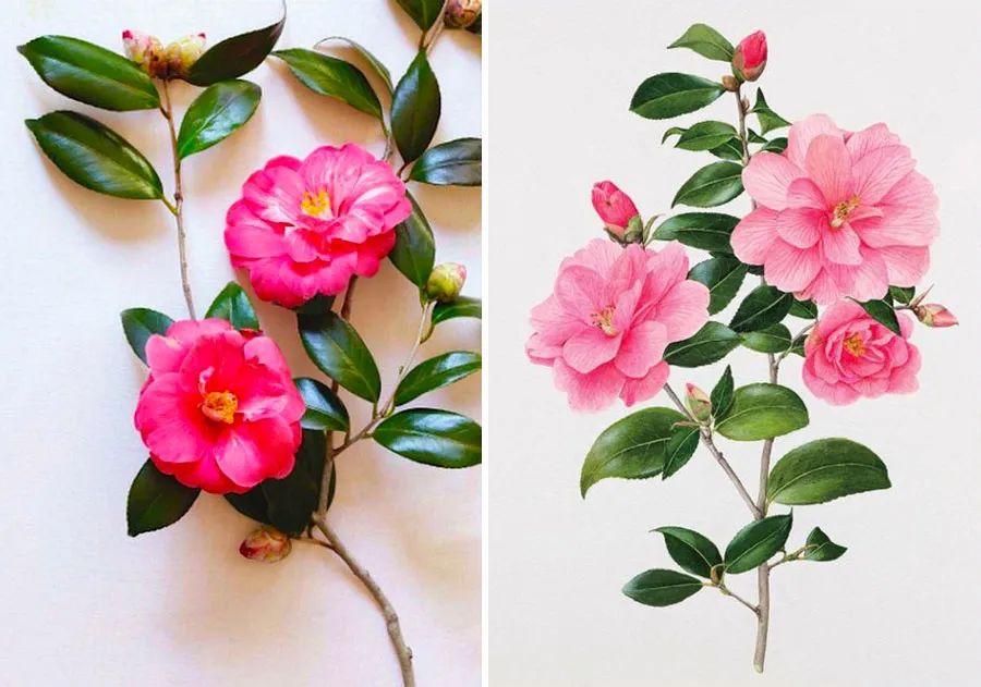 花儿朵朵黑白画四年级儿童画,儿童创意画春天花儿开