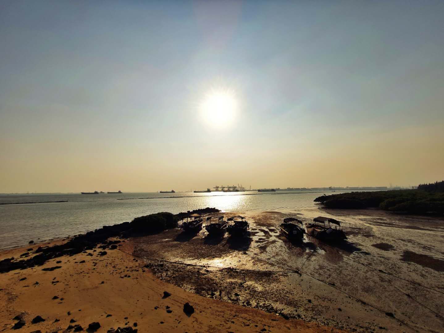 湛江特呈岛地理位置,湛江市特呈岛攻略