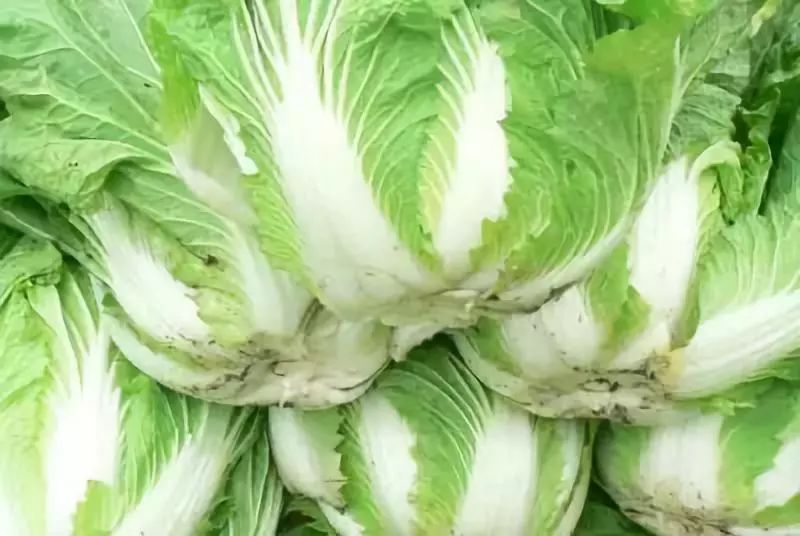 全国各地最全特产,全新疆特产