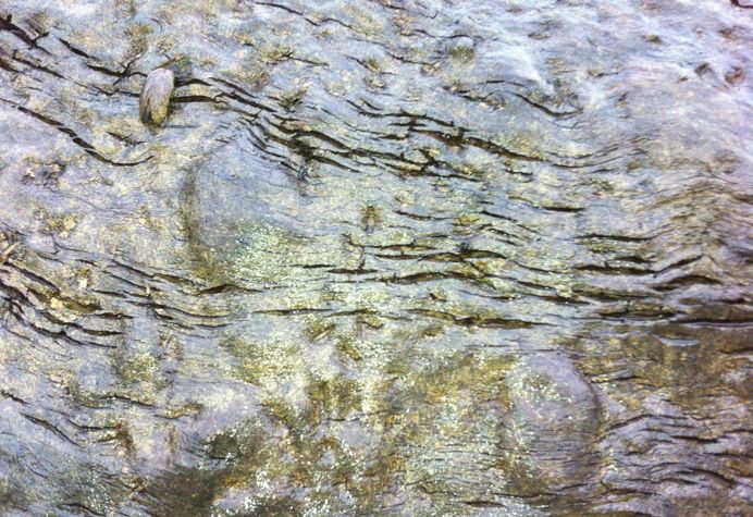 金丝楠枯木老料手串极品图片,极品金丝楠手串