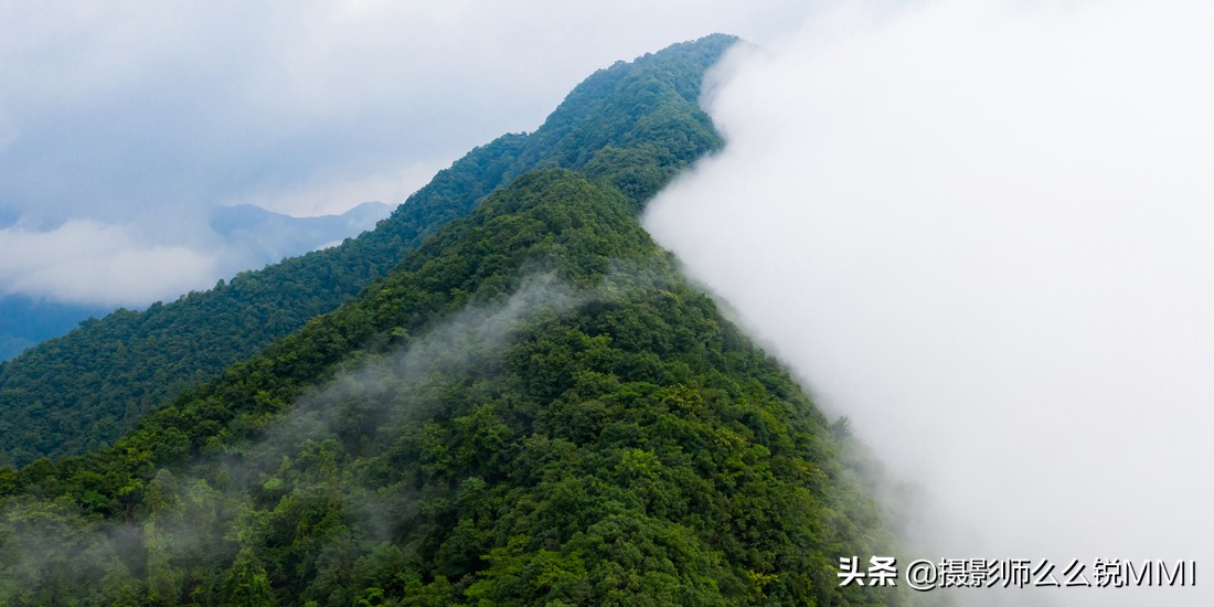 这里。藏着你“向往的生活”黄山美宿-汤口山语