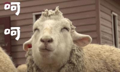 那些年我们交智商税的商品,日本药妆店真的免税吗