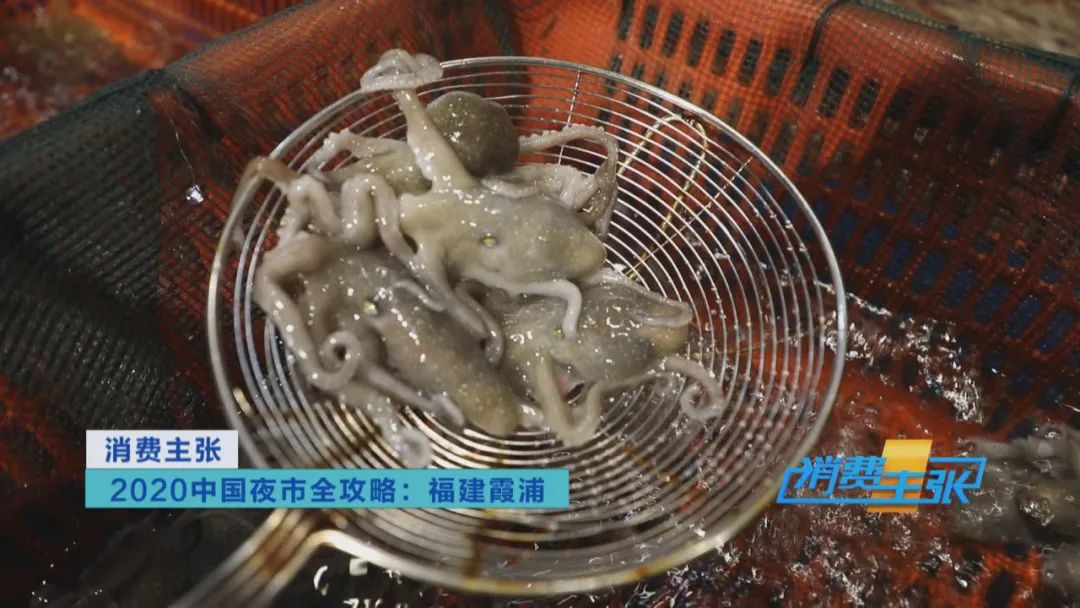 霞浦的海鲜真是便宜又好吃,霞浦真正便宜好吃的海鲜哪里吃