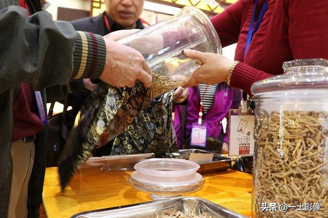 越南芒街下龙河内,越南芒街到下龙大巴