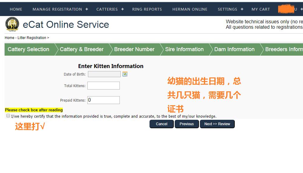 花重金买猫,花高价买的猫