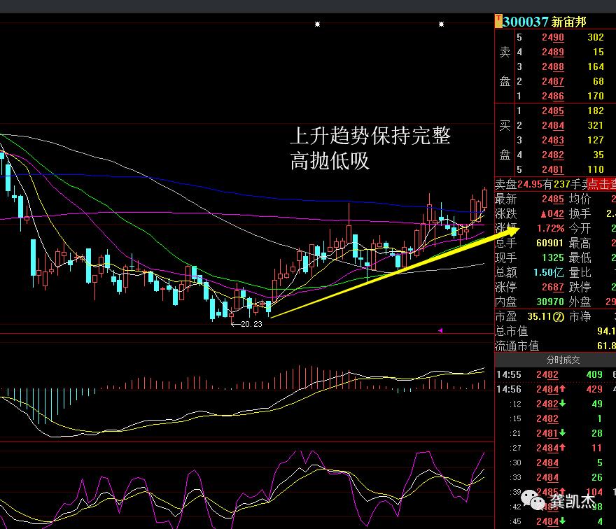 股票知识如何炒股,每天学点炒股知识