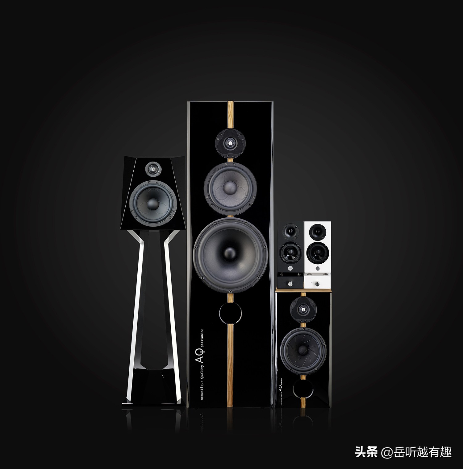 中坚力量——评AQPassionTeen书架式音箱