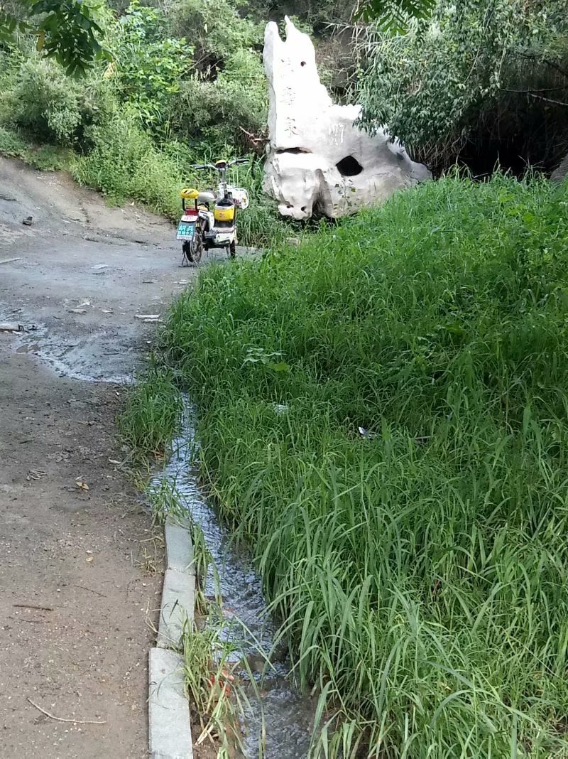 秋天的杨府山公园,秋天的泉山森林公园