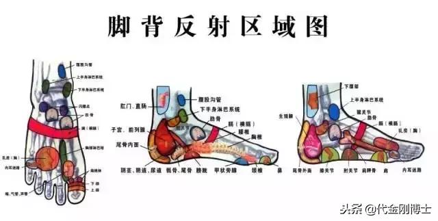 寒从脚起湿从脚除,寒从脚起病由足生