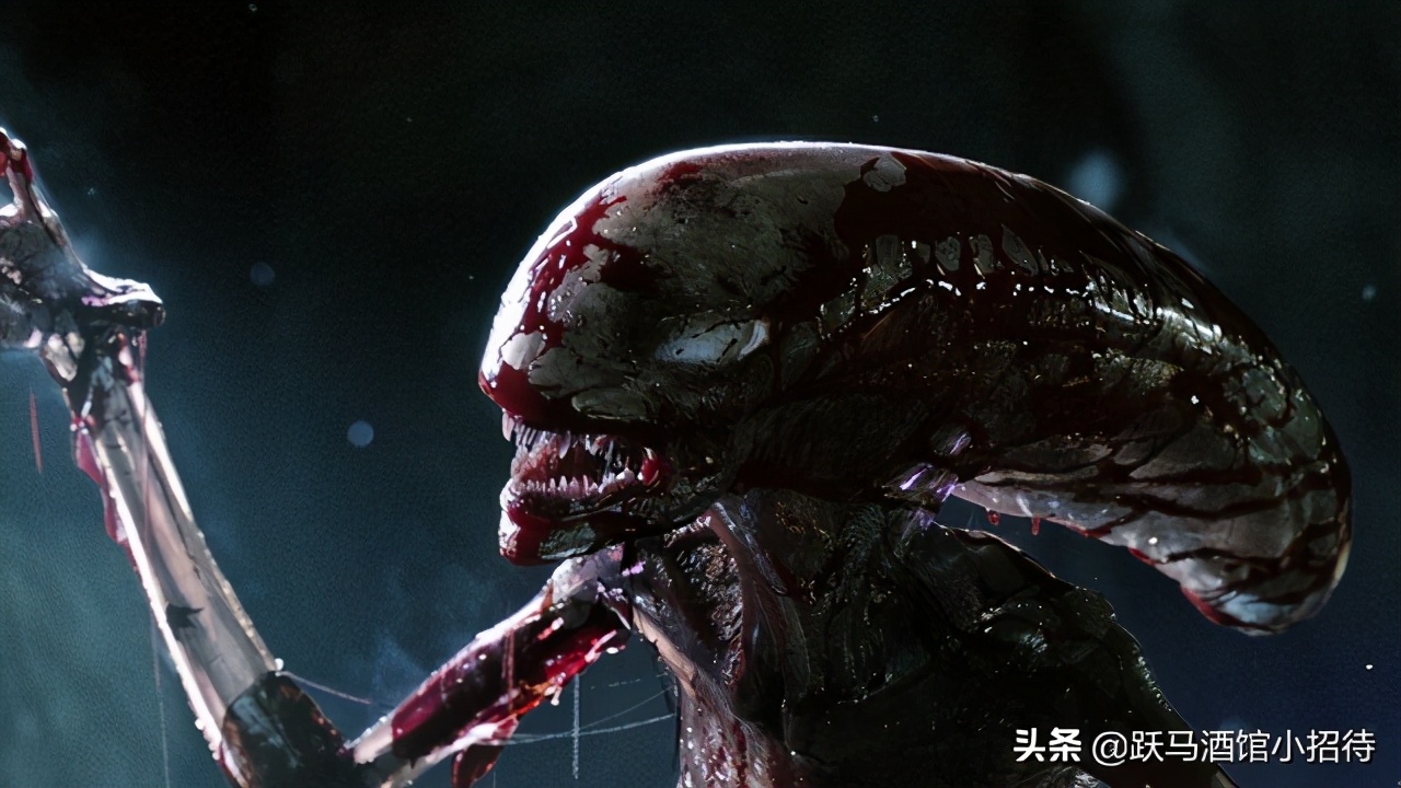 异形契约之后应该看什么,异形契约剧情跟着第一部吗