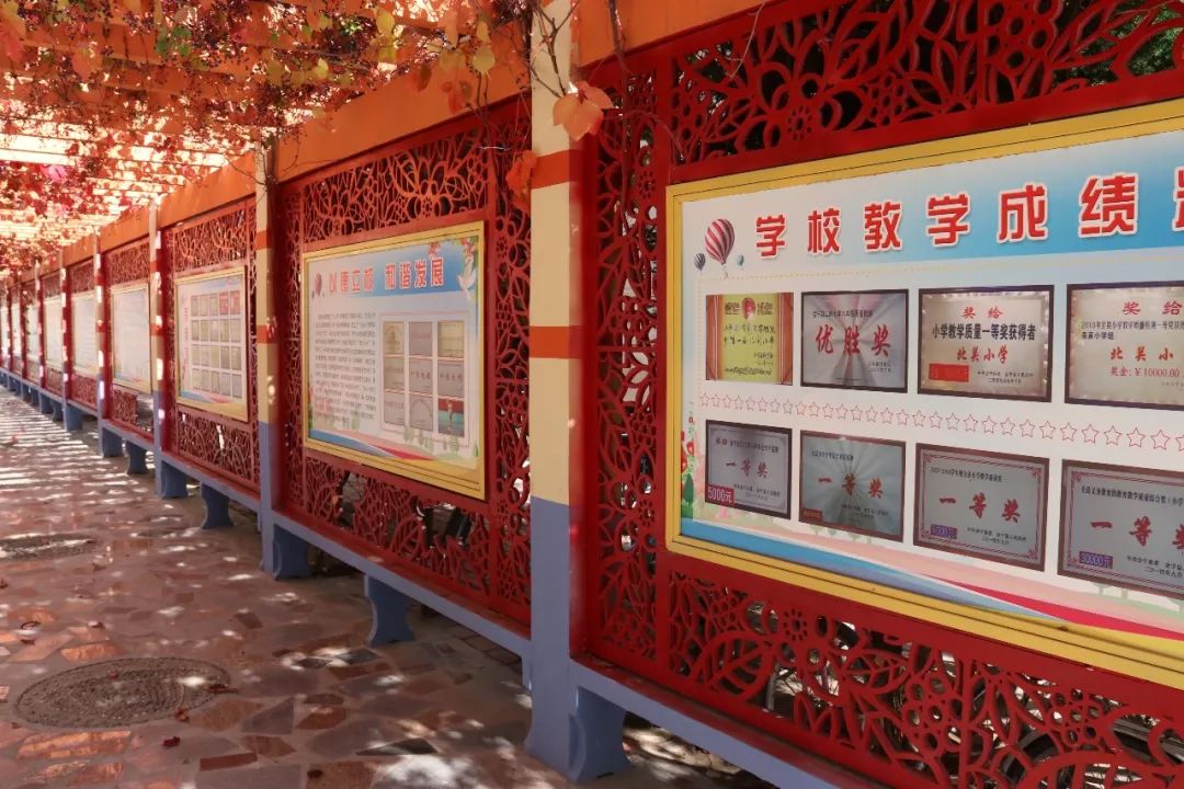 美丽校园我的家完整版,美丽校园我的家