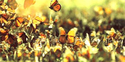 克徕帝昆山吾悦店钻戒,克徕帝钻戒上海青浦吾悦