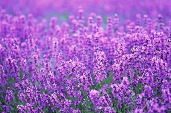 一部偶像剧让无数人的青春花香四溢，20年后剧中人物是何命运