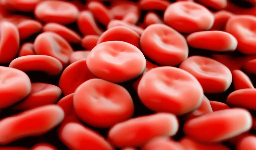 血小板上千,血小板数量一千