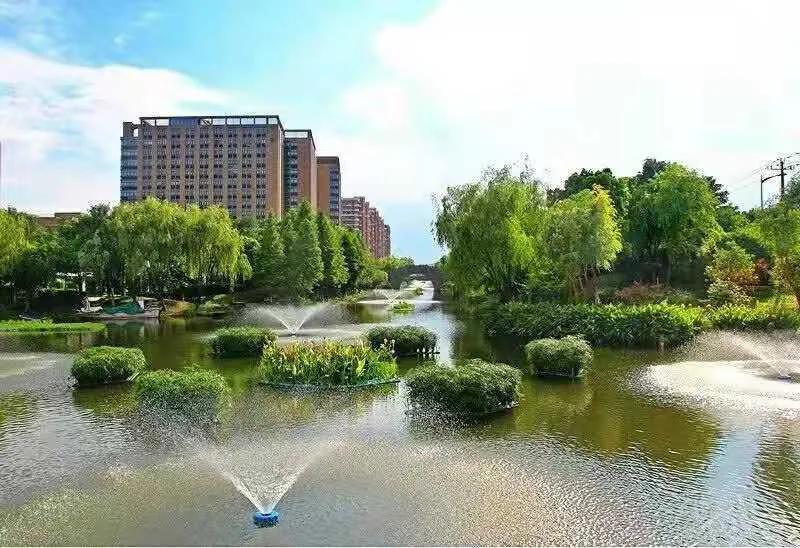 咸鱼翻身地铁站,咸鱼翻身地铁