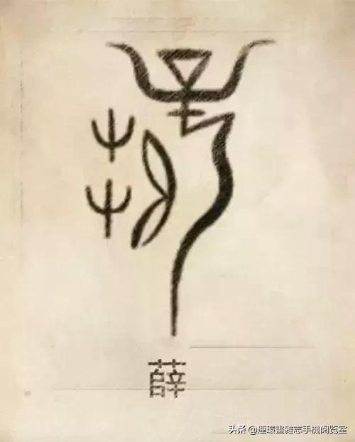 中国100大姓氏图腾大全,姓氏图腾大全史姓图腾是什么