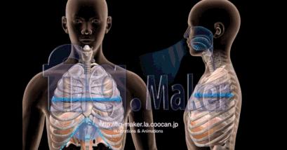 李佳琦和金靖谈减肥,金靖第二次上李佳琦直播间谈体重