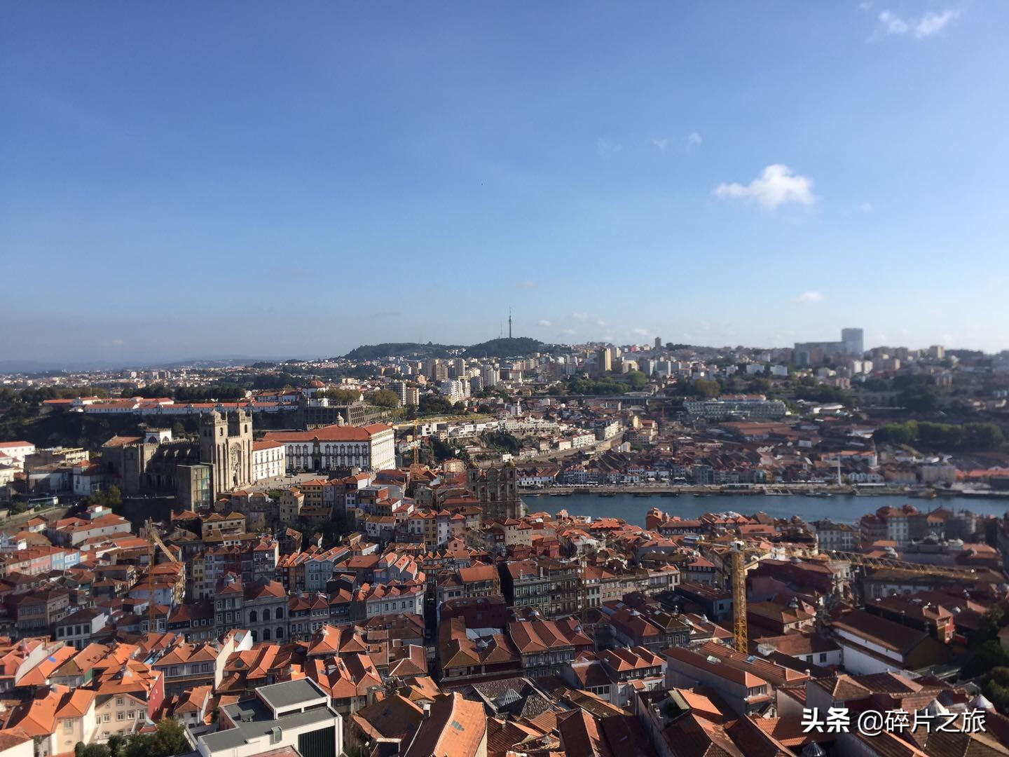 请给我一杯拿铁英文,请给我杯咖啡日语