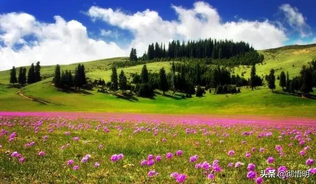 中国最美的地方,中国最美的地方有哪