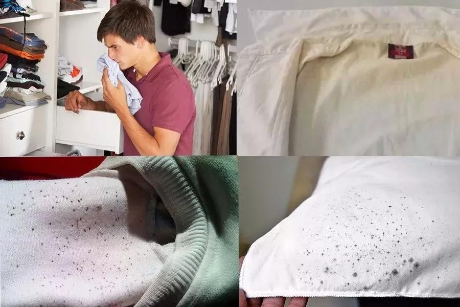 能让衣服持久留香的留香珠,纳米衣物留香珠