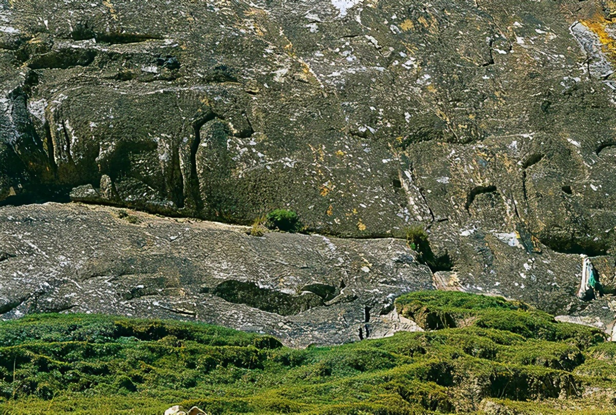 九层妖楼真实内部图片,九层妖楼古墓完整视频