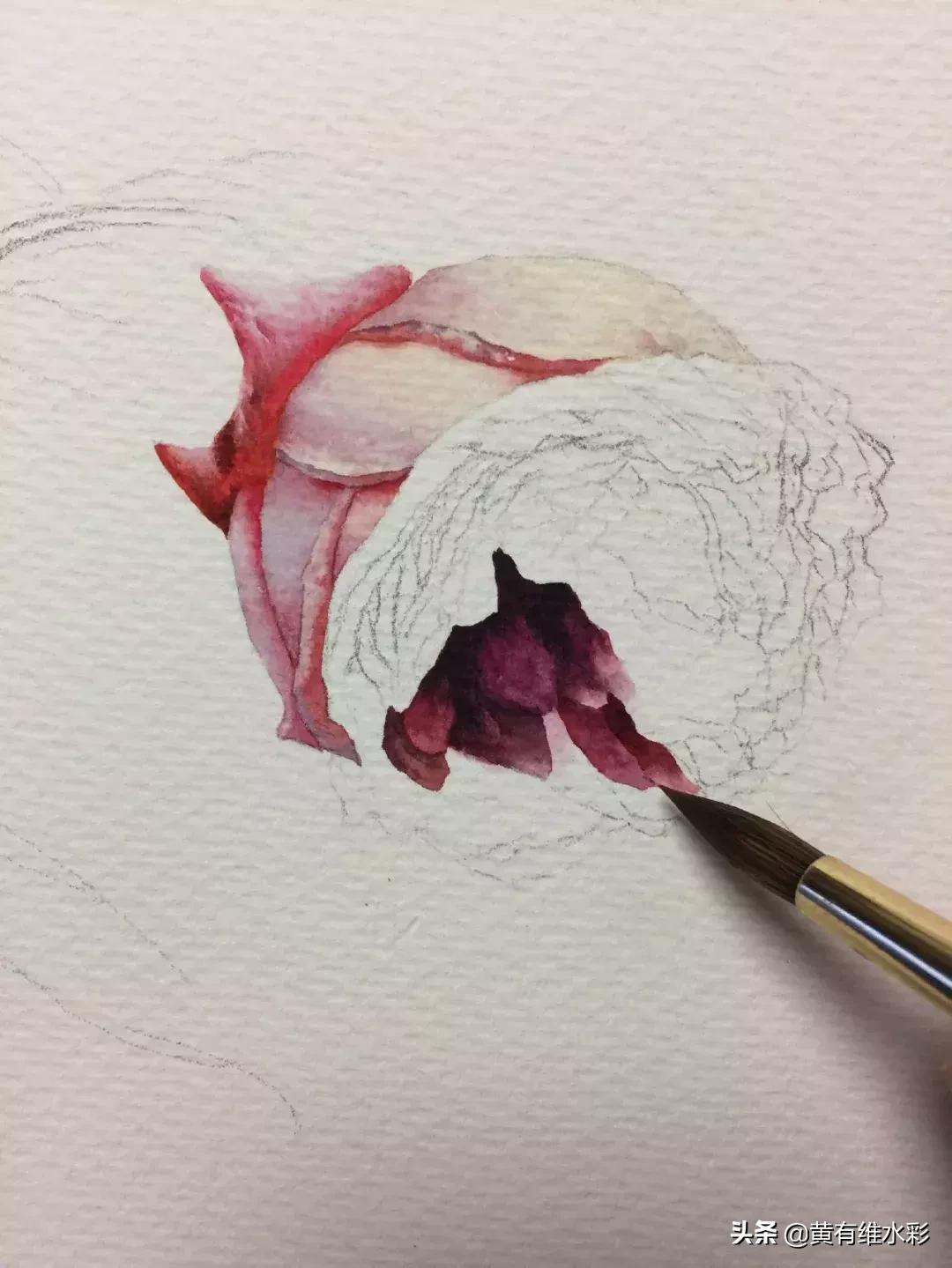 33朵玫瑰制作全过程,英伦花教程