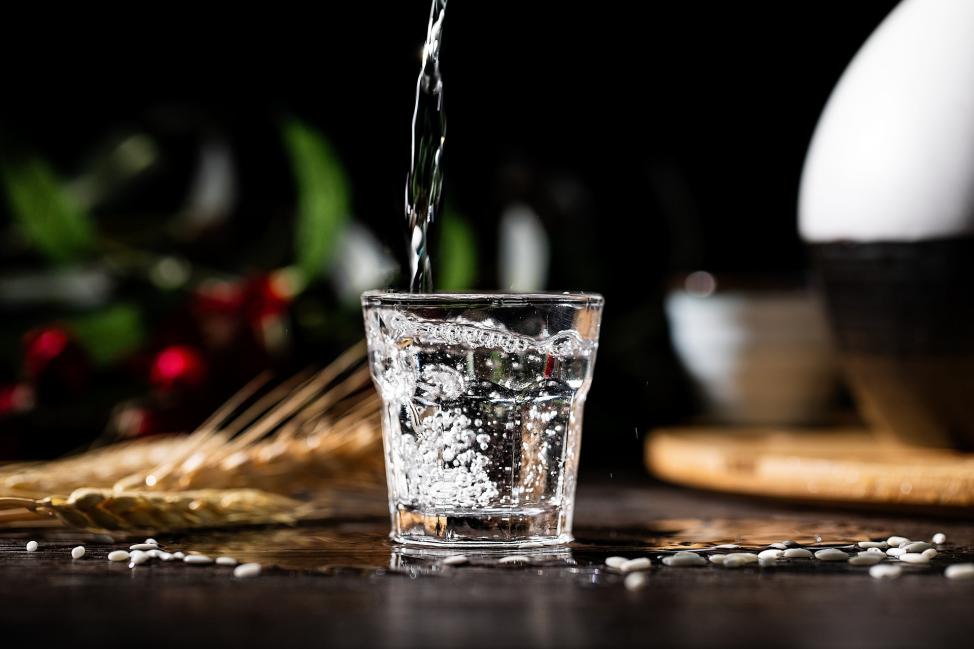 安徽祥和金种子酒,安徽金种子是什么酒