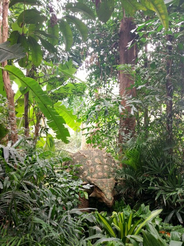 广州番禺区长隆野生动物世界缆车,广州旅游长隆野生动物世界