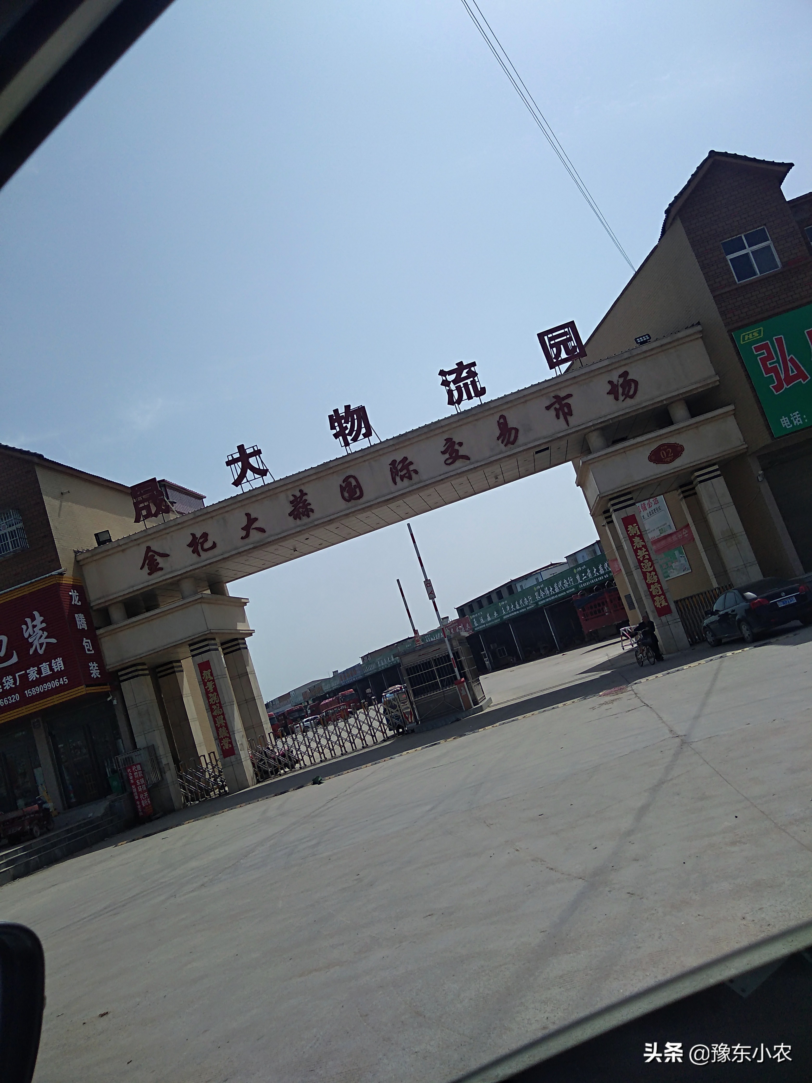 2023年大蒜干蒜价格能卖多少,2023年河南大蒜蒜苔价格行情预测