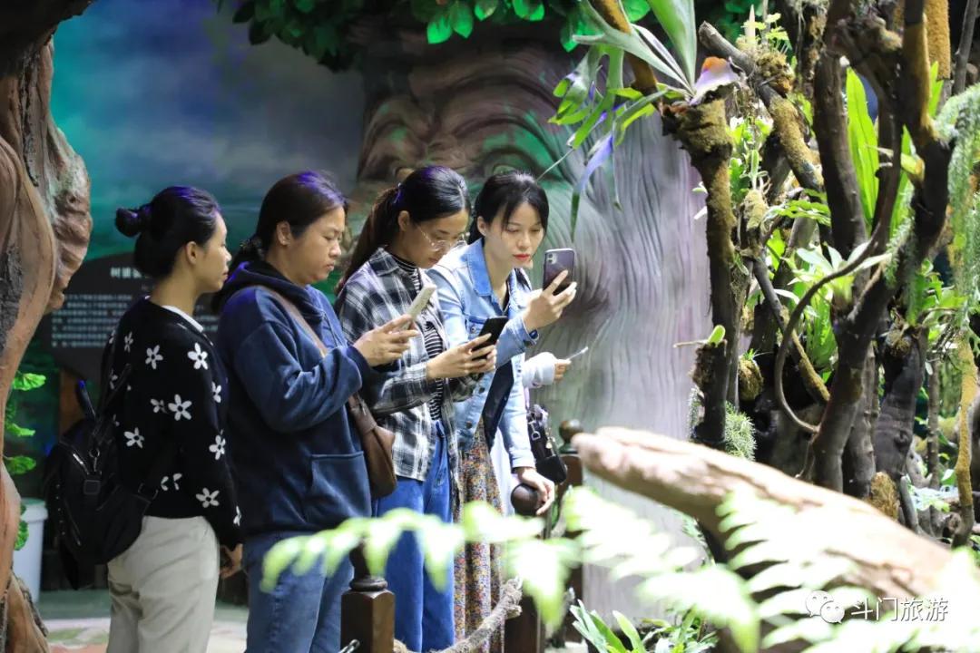 斗门十大旅游景点,斗门有哪些旅游景点值得去