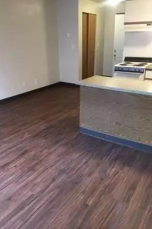 1000万美元在美国买房子,美国1000美元能租到什么样的房子