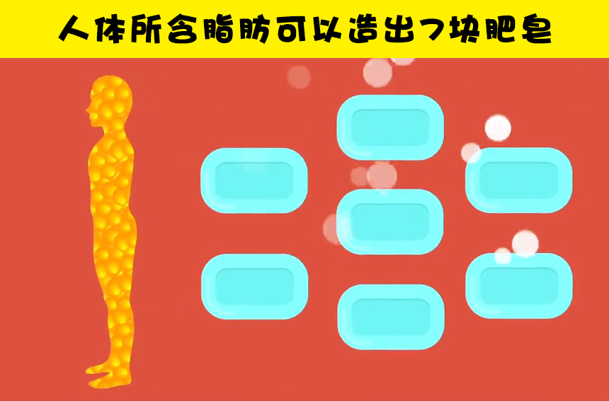 关于人体,大多数人还不知晓的15个事实