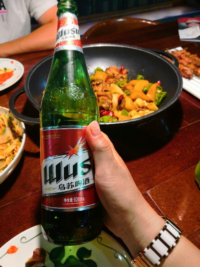 沈阳自驾新疆游攻略,沈阳自驾南疆最佳路线