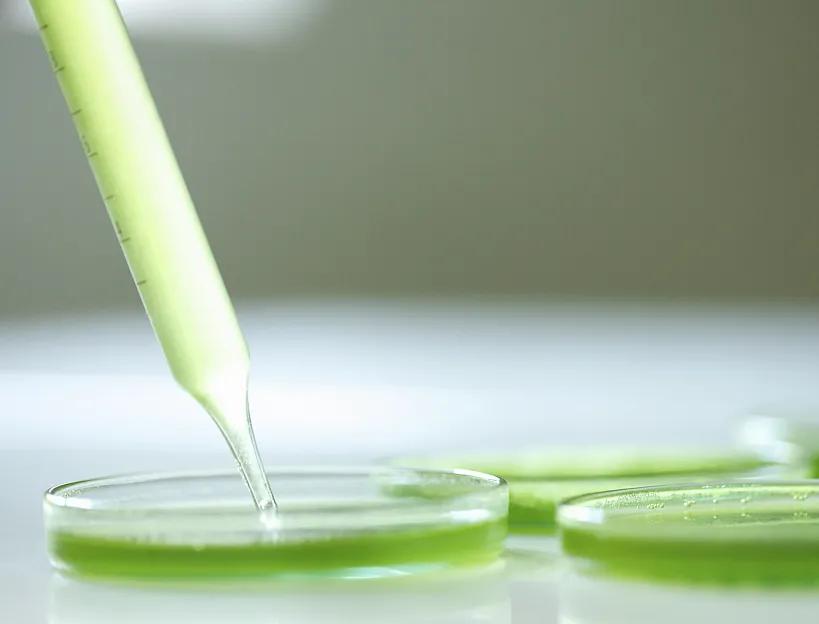 雷公藤多苷治疗类风湿要吃多久,雷公藤多苷与什么药搭配治疗风湿