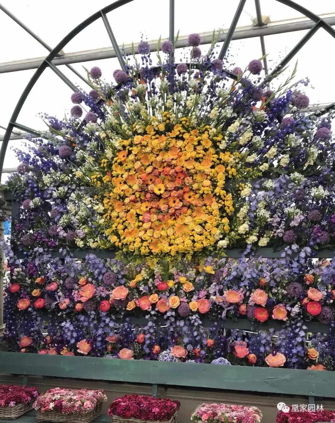 英国切尔西花展鸢尾花园,英国伦敦切尔西花卉展