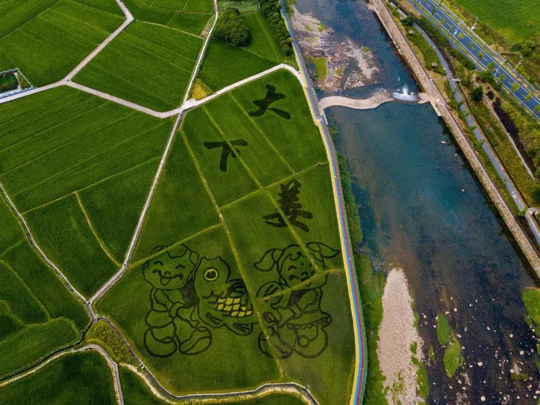 震撼!钱塘江畔出现巨型画作,有28个足球场这么大!