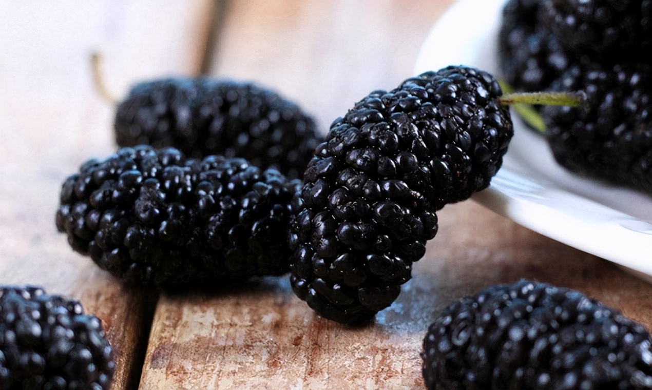 洗桑葚正确方法,洗桑葚只有清水怎么洗