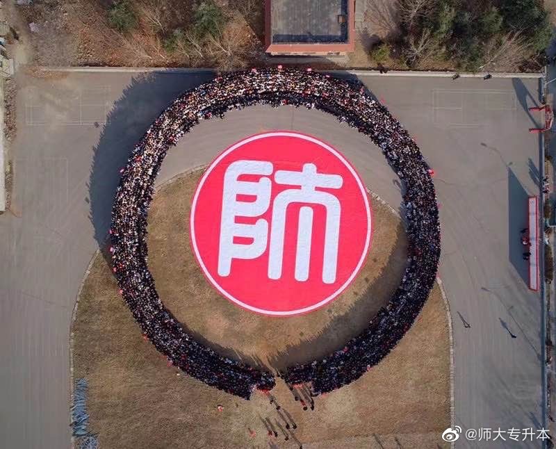 山东专升本报考人数统计2024,山东专升本报名人数多了还是少了