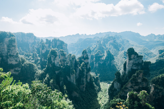 张家界一天游报价,张家界一日游大概需要多少钱