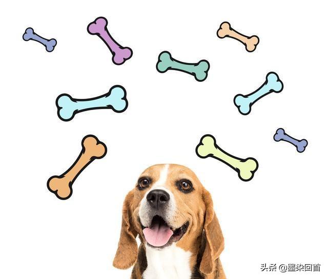 为什么有的蜈蚣毒不死大公鸡,为什么毒蜈蚣毒不死公鸡