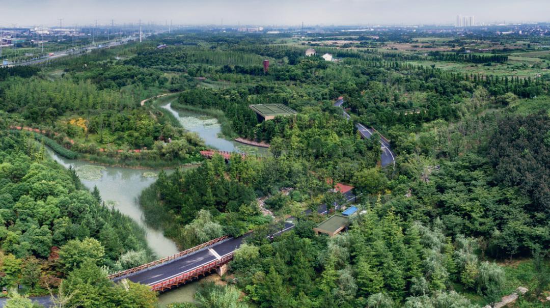 你们可以先走一步，常州并不急着收获