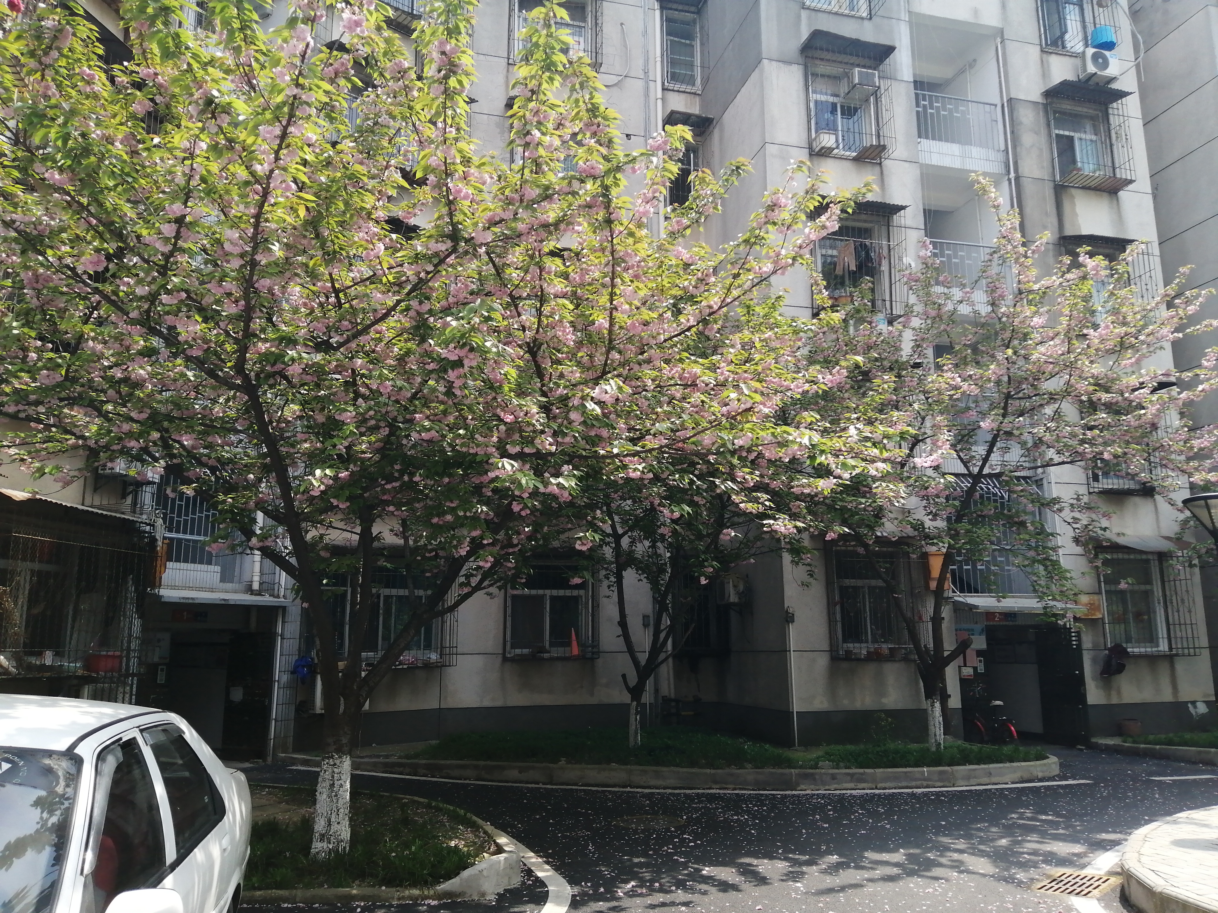 首个示范小区,全国示范小区现状