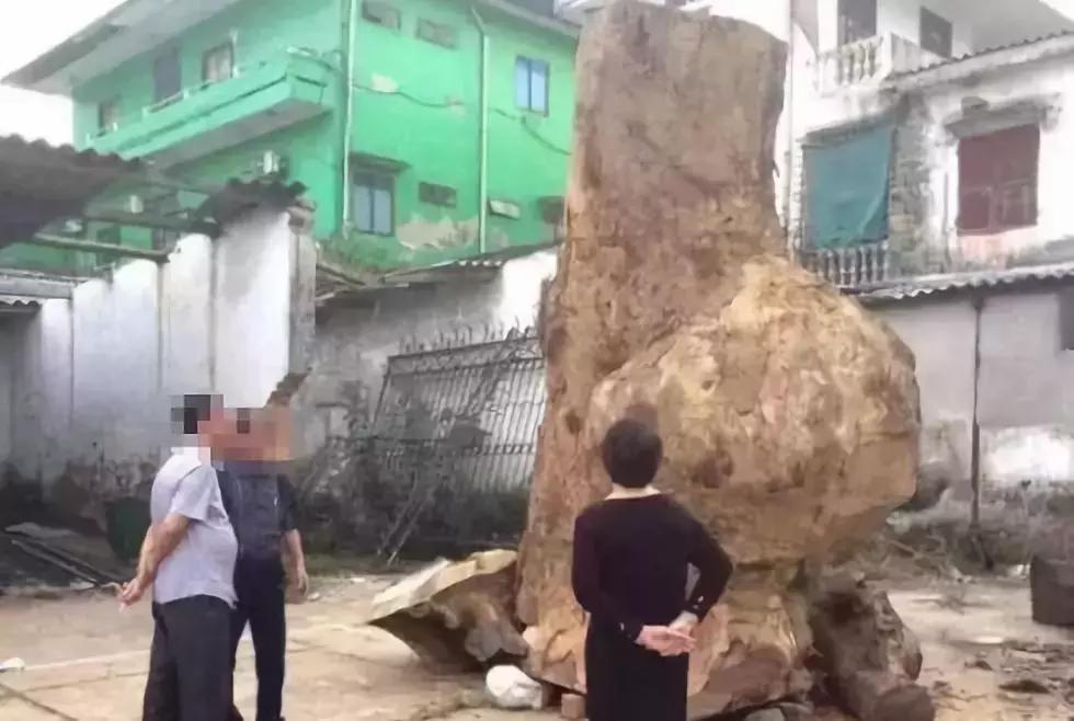 价值240万非洲的原木,雕刻成品出来后震惊全场,一片心疼声!